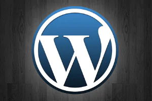 categorias do wordpress