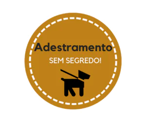 curso de adestramento de cães