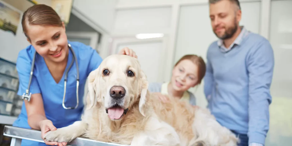 auxiliar veterinário